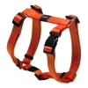 Dogs|Pet Shop Direct - Rogz Snake H Harness Medium Orange - Pet Home | The Perfect Pet Supplies Shopping Experience