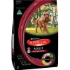 Best Sale Pet Shop Direct - Supercoat Adult Beef 12kg - Pet Home | The Perfect Pet Supplies Shopping Experience Dogs