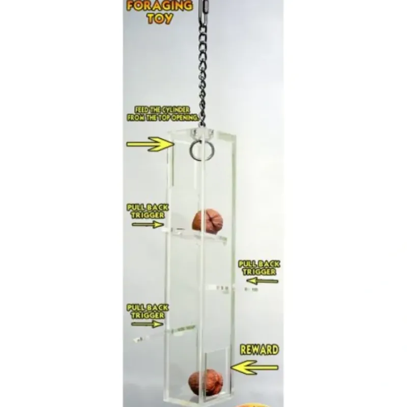 Discount Pet Shop Direct - Zoo Max Birdy Plunk Foraging Bird Toy 12" - Pet Home | The Perfect Pet Supplies Shopping Experience Pet Toys