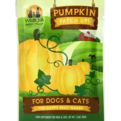 Cats*Pumpkin Patch Up! for Dogs and Cats - Pet Home | The Perfect Pet Supplies Shopping Experience