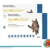 Cats*Revolution for Cats 12 pack Blue - Pet Home | The Perfect Pet Supplies Shopping Experience