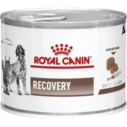 Cats*Royal Canin Recovery Canine/Feline 195g Tray of 12 - Pet Home | The Perfect Pet Supplies Shopping Experience